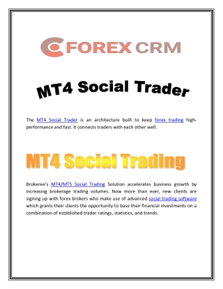 MT4 Social Trader