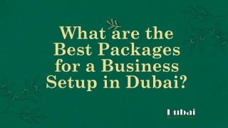 What are the Best Packages for a Business Setup in Dubai?