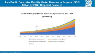 Asia Pacific Enterprise Mobility Market
