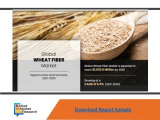 Wheat Fiber Market