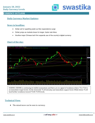 Curreny daily levels (28-Jan) (1)