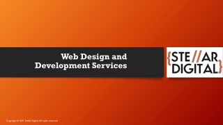 Stellar Digital - Web Development services (1)