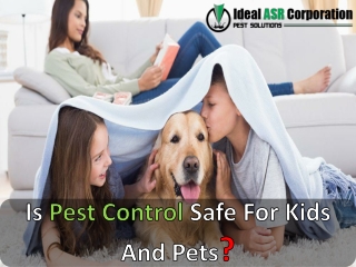 Is Pest Control Safe For Kids And Pets?