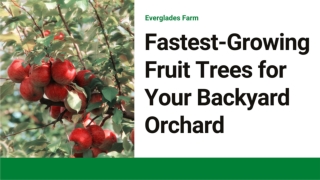 Fastest Growing Fruit Tress for backyard orchard