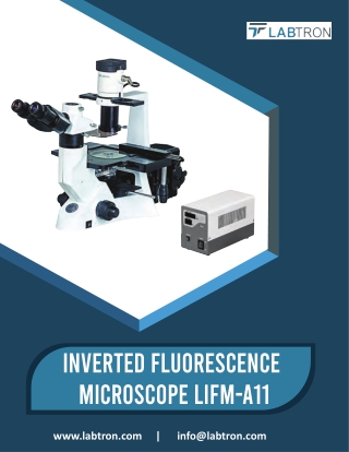 Inverted-Fluorescence-Microscope-LIFM