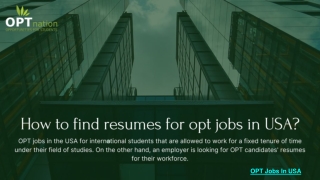 OPT Jobs In USA
