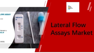 Lateral Flow Assays Market Share