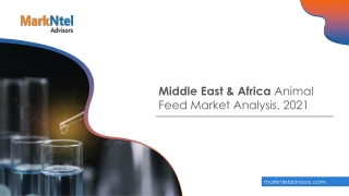 Middle East & Africa Animal Feed Market Research Report: Forecast (2021-2026)