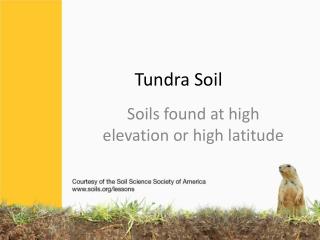 Tundra Soil