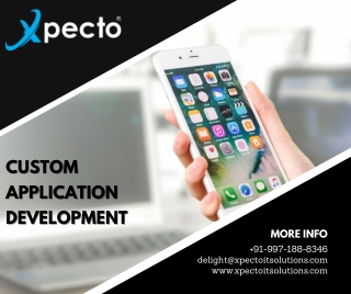 Custom Application Development