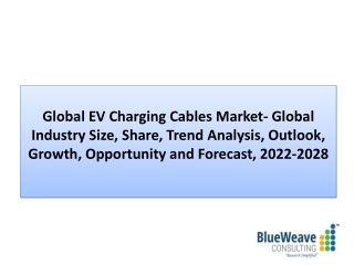 EV Charging Cables Market Forecast 2022-2028