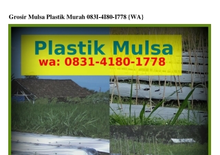 Grosir Mulsa Plastik Murah 08౩I·4I80·I778(WA)