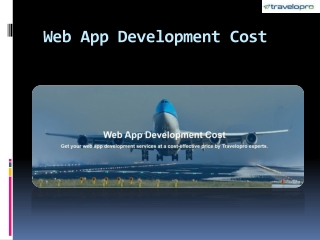 Web App Development Cost