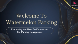 Everything You Need To Know About Car Parking Management