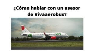 ¿Cómo hablar con un asesor de Vivaaerobus?