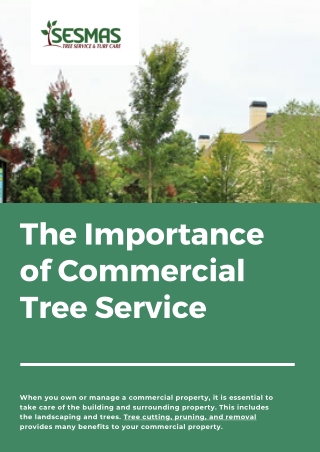 The Importance of Commercial Tree Service