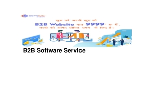 b2b software Service