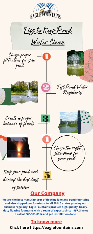 Tips to Keep Pond Water Clean