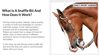 What Is A Snaffle Bit And How Does It Work_