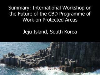 Summary: International Workshop on the Future of the CBD Programme of Work on Protected Areas Jeju Island, South Korea