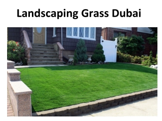 Landscaping Grass Dubai