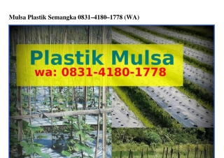 Mulsa Plastik Semangka Ô8ᣮI~ᏎI8Ô~Iᜪᜪ8{WhatsApp}