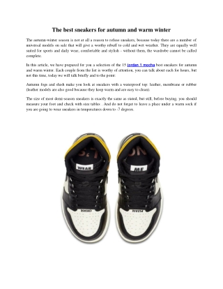 AIR JORDAN 1 HIGH - DARK MOCHA | BELART