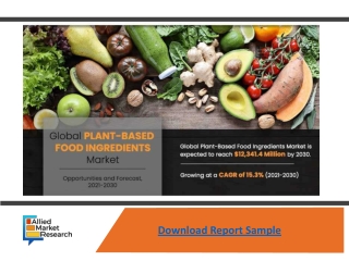 Plant-based Food Ingredients Market