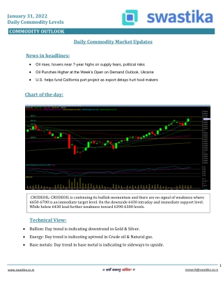 Commodity daily levels (31-Jan.)