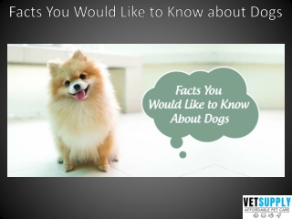 Facts You Would Like to Know about Dogs | Pet Care | VetSupply
