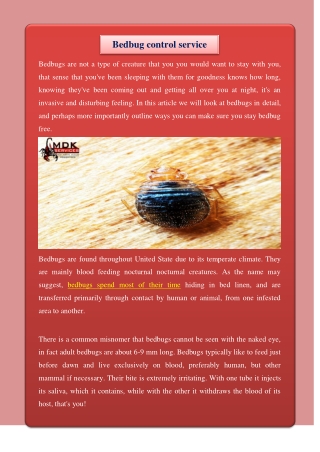 Bedbug control service