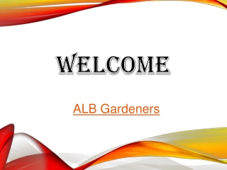 Get a Top Fence Contractors in East Ham