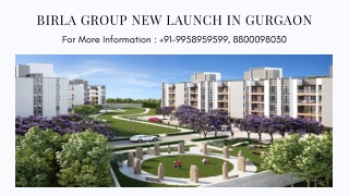 Aditya Birla Group New Launch In Gurgaon, Birla New Launch In Gurgaon Details, 8