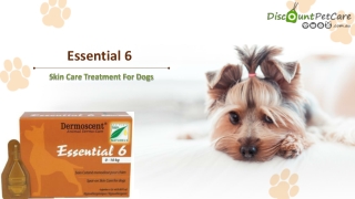 Essential 6 Supplements For Dogs | DiscountPetCare