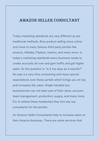 Amazon Seller Consultant-converted