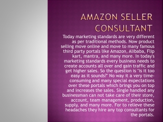 Amazon Seller Consultant