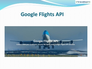 Google Flights API