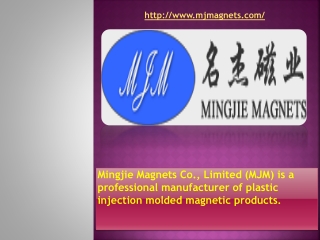 China's Largest Injection Bonded Magnets Manufacturer