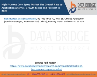High Fructose Corn Syrup Market Size Growth Rate by Application Analysis, Growth Factor and Forecast to 2028