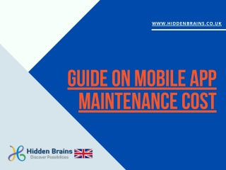 Guide on Mobile App Maintenance Cost