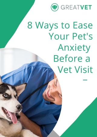 8 Ways to Ease Your Pet's Anxiety Before a Vet Visit