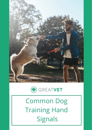 Common Dog Training Hand Signals