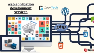 Web Application Development Services - GeekTech