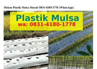 Diskon Plastik Mulsa Murah