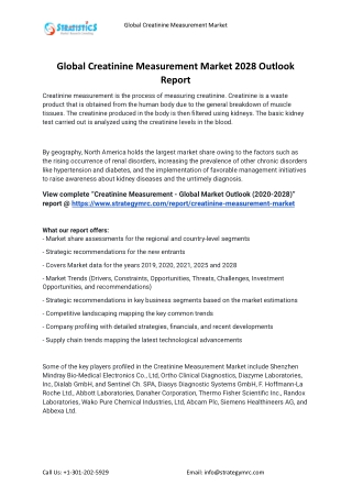 2021 Creatinine Measurement Industry Global Analysis Report