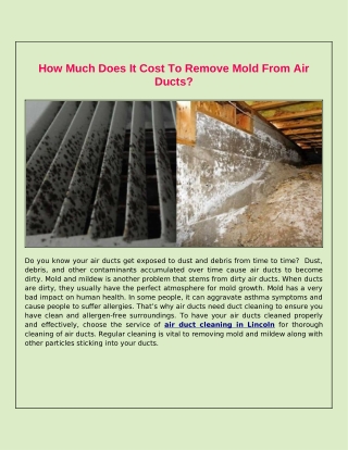 How Much Does Mold Removal From Air Ducts Costs?