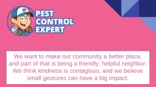 Pest Control Professional - Pest Control Expert