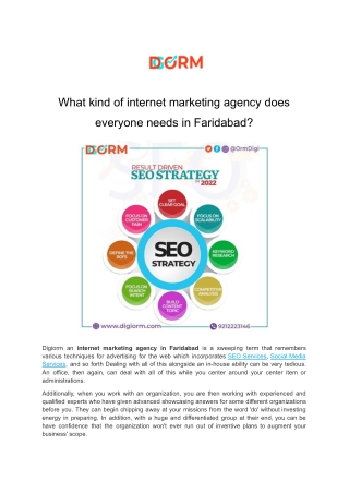 What kind of internet marketing agency does everyone needs in Faridabad