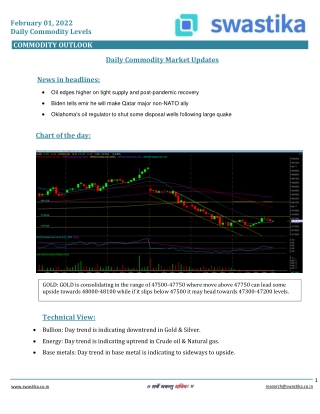 Commodity daily levels (01-Feb.)