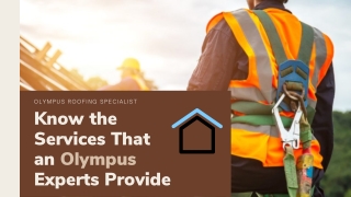 Know the Services That an Olympus Experts Provides